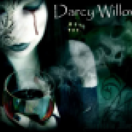 Darcy Willows